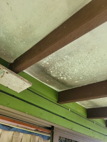 20240601_104809.jpg 20240601_104809.jpg