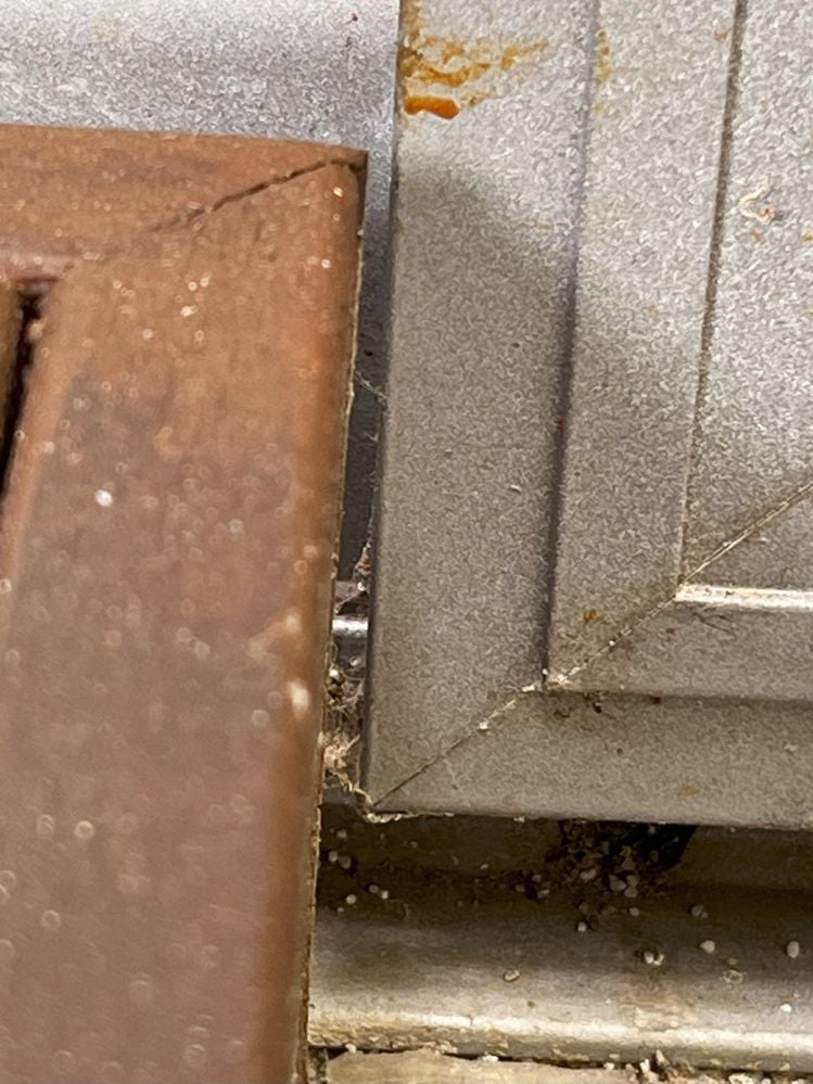 Fly Door 2.jpeg Fly Door 2.jpeg