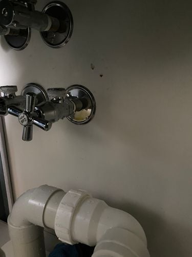 IMG_0003.jpeg IMG_0003.jpeg