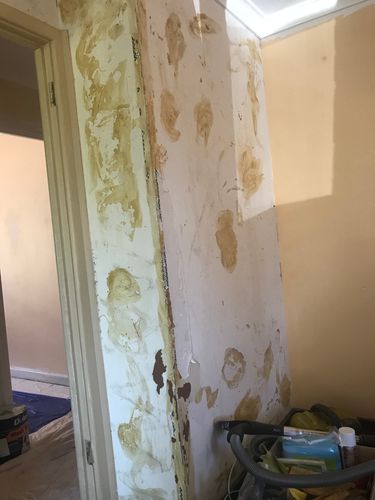 0DD6910F-F4BB-495E-ADE6-A076951A4B9F.jpeg 0DD6910F-F4BB-495E-ADE6-A076951A4B9F.jpeg