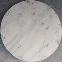 4.3 Outlines transferred.jpg 4.3 Outlines transferred.jpg