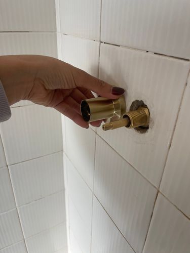 IMG_7022.jpeg IMG_7022.jpeg