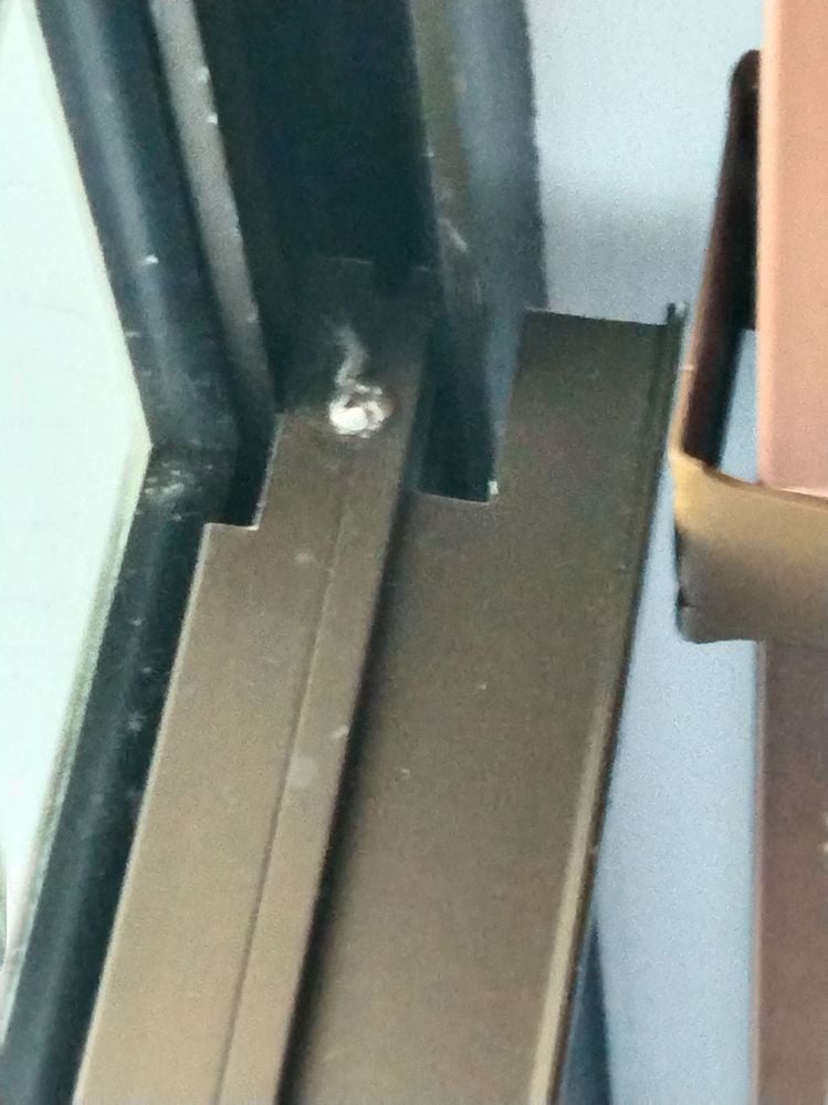 IMG_20241223_054241.jpg IMG_20241223_054241.jpg