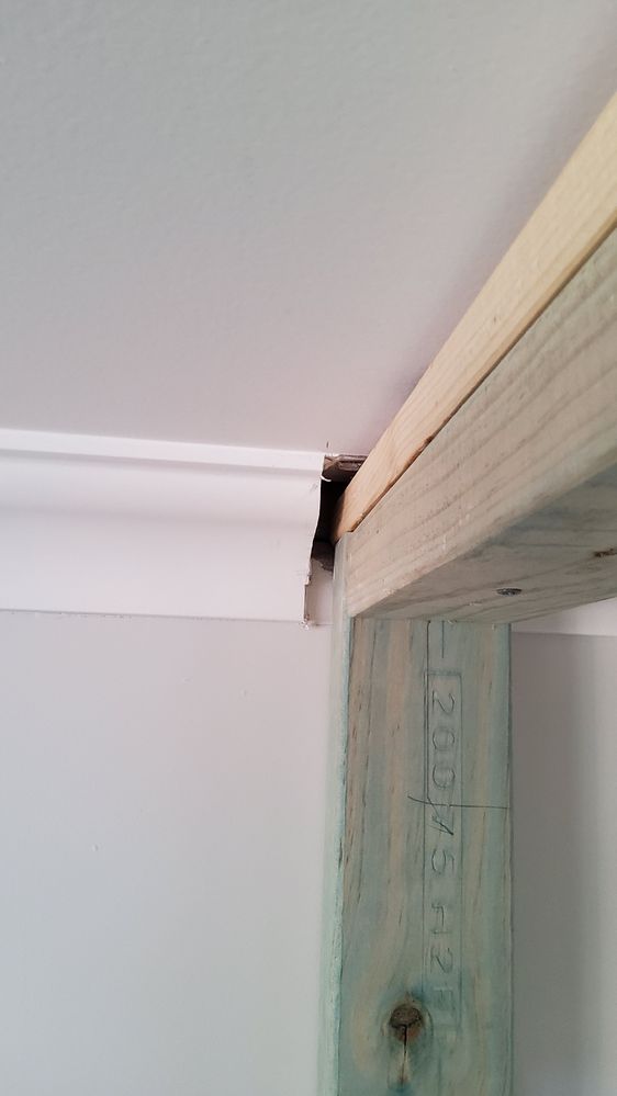 20260119_161325.jpg 20260119_161325.jpg