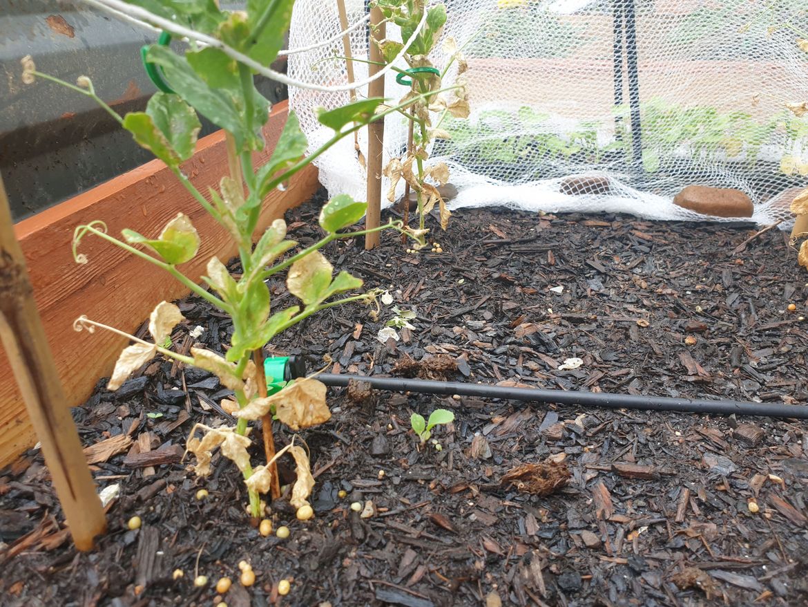 20231205_105828.jpg 20231205_105828.jpg