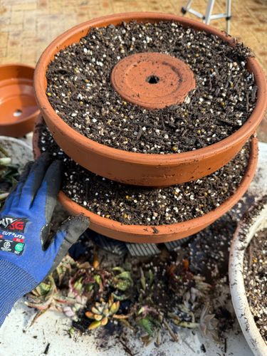 IMG_1240.jpeg IMG_1240.jpeg