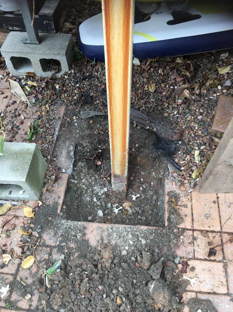 IMG_3127.JPG IMG_3127.JPG