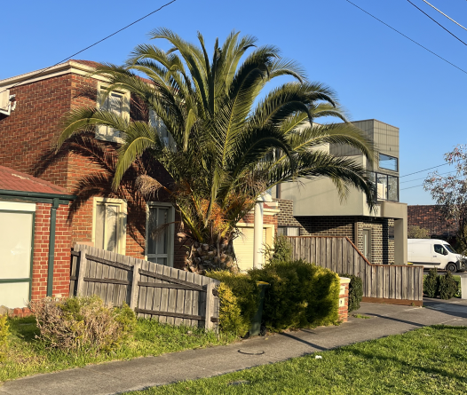 Screenshot 2025-08-13 123529.png Screenshot 2025-08-13 123529.png