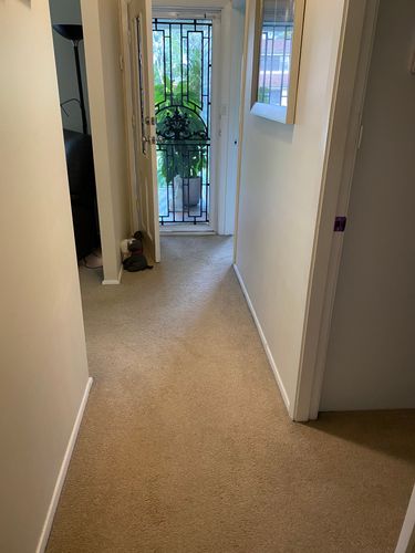 2ECDD0D3-A04C-452C-B554-D2AD4EE3BD5F.jpeg 2ECDD0D3-A04C-452C-B554-D2AD4EE3BD5F.jpeg