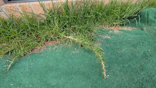 1000038309.jpg 1000038309.jpg