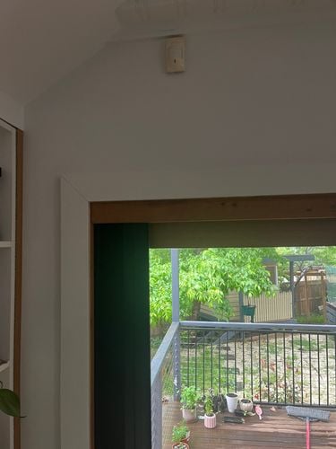 IMG_5450.jpeg IMG_5450.jpeg