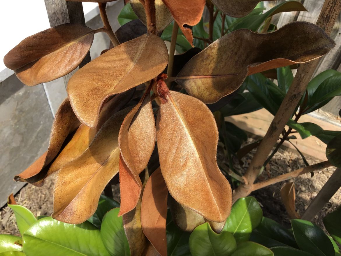 IMG_5114.jpeg IMG_5114.jpeg