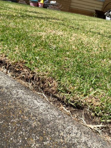 IMG_9274.jpeg IMG_9274.jpeg