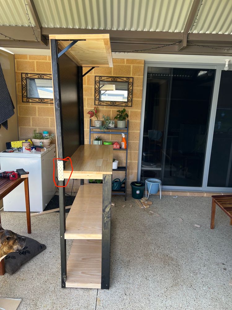 IMG_7702.JPG IMG_7702.JPG