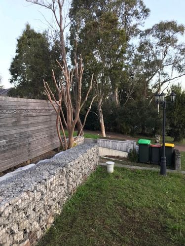 83 09-09-2022.jpg 83 09-09-2022.jpg