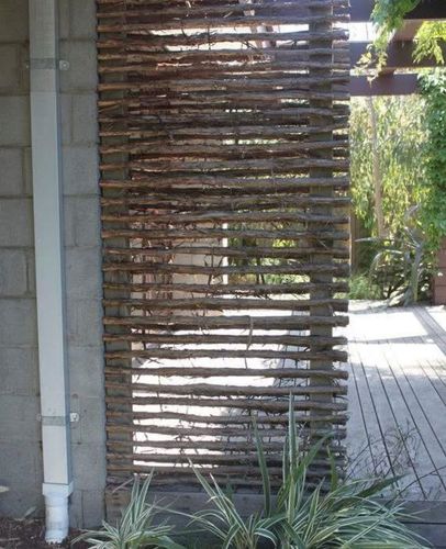 IMG_5706.jpeg IMG_5706.jpeg