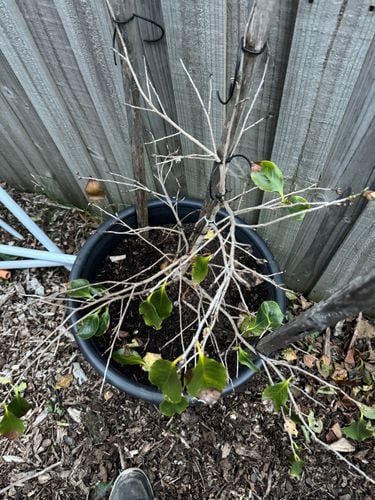 IMG_7263.jpeg IMG_7263.jpeg