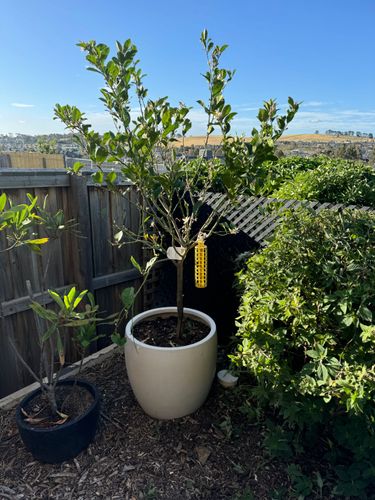 IMG_9623.jpeg IMG_9623.jpeg