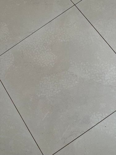 IMG_8427.jpeg IMG_8427.jpeg