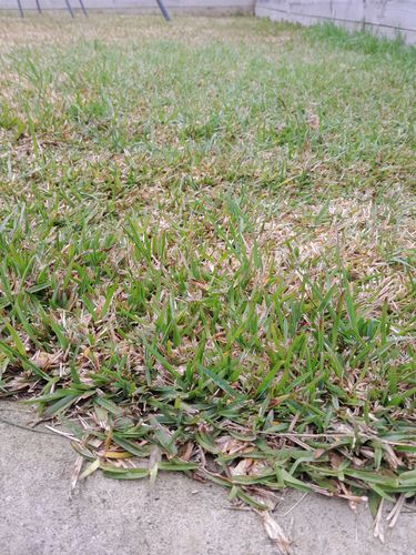 20240925_081342.jpg 20240925_081342.jpg