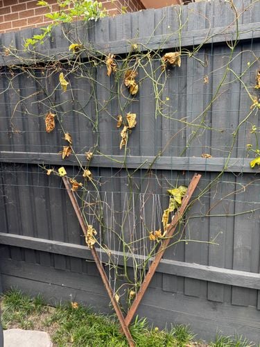 IMG_2013.jpeg IMG_2013.jpeg