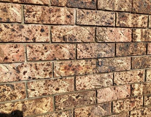 0094AB09-7481-4F21-B967-5A773F443C0D.jpeg 0094AB09-7481-4F21-B967-5A773F443C0D.jpeg