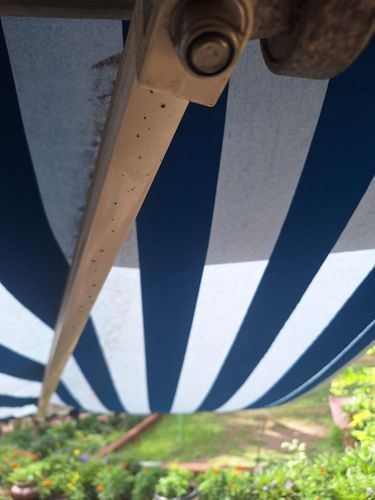 1000135071.jpg 1000135071.jpg