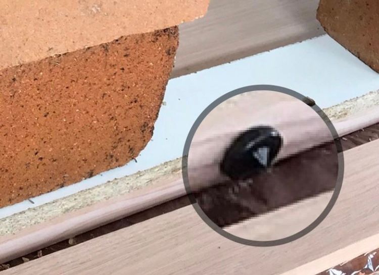 IMG_3820.jpeg IMG_3820.jpeg