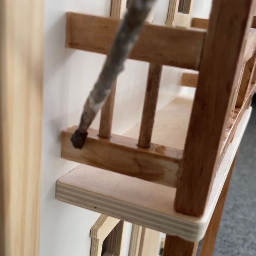 38B46893-A17E-44CD-BFF6-02FA793DFA7A.jpeg 38B46893-A17E-44CD-BFF6-02FA793DFA7A.jpeg