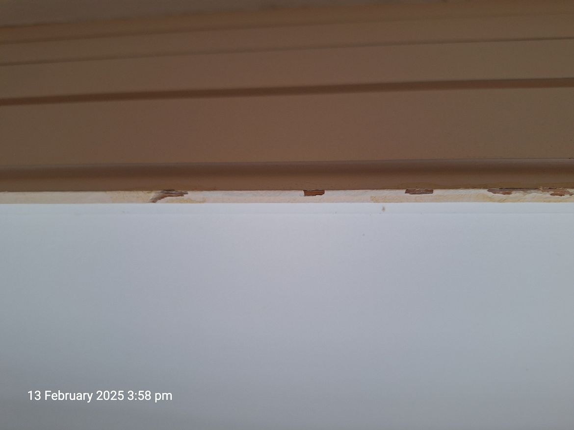 20250213_155832.jpg 20250213_155832.jpg