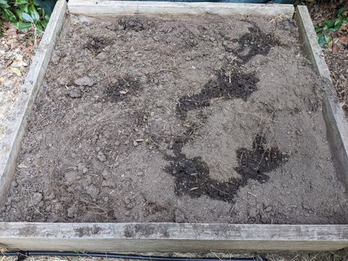 PXL_20250309_231109698.jpg PXL_20250309_231109698.jpg