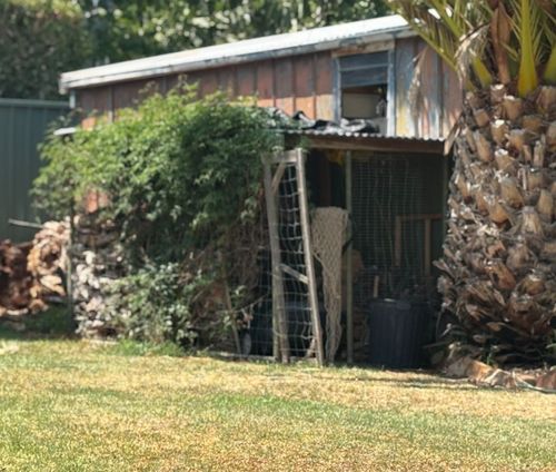 IMG_3882.jpeg IMG_3882.jpeg