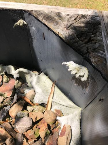 365D8E4E-F4F5-4FFF-BFF2-B40EF84A25D8.jpeg 365D8E4E-F4F5-4FFF-BFF2-B40EF84A25D8.jpeg