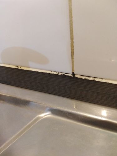 IMG_20210321_191618.jpg IMG_20210321_191618.jpg