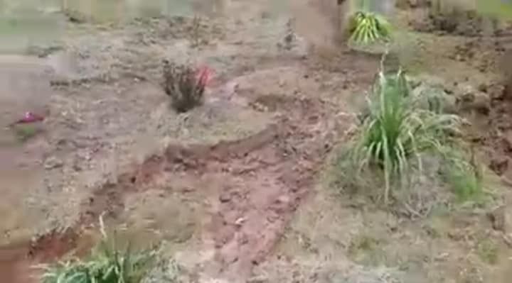 336039857_676117300956115_2324706162569967602_n.jpg 336039857_676117300956115_2324706162569967602_n.jpg