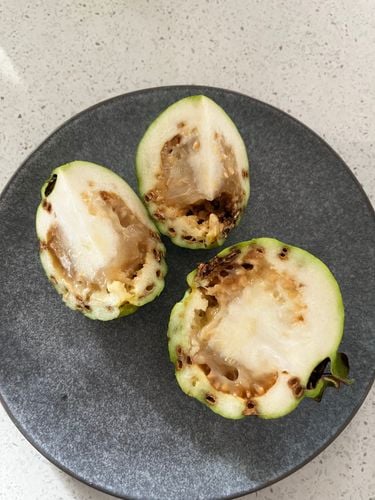 C31D3074-7986-4B6A-80D3-6F5CD47BA617.jpeg C31D3074-7986-4B6A-80D3-6F5CD47BA617.jpeg