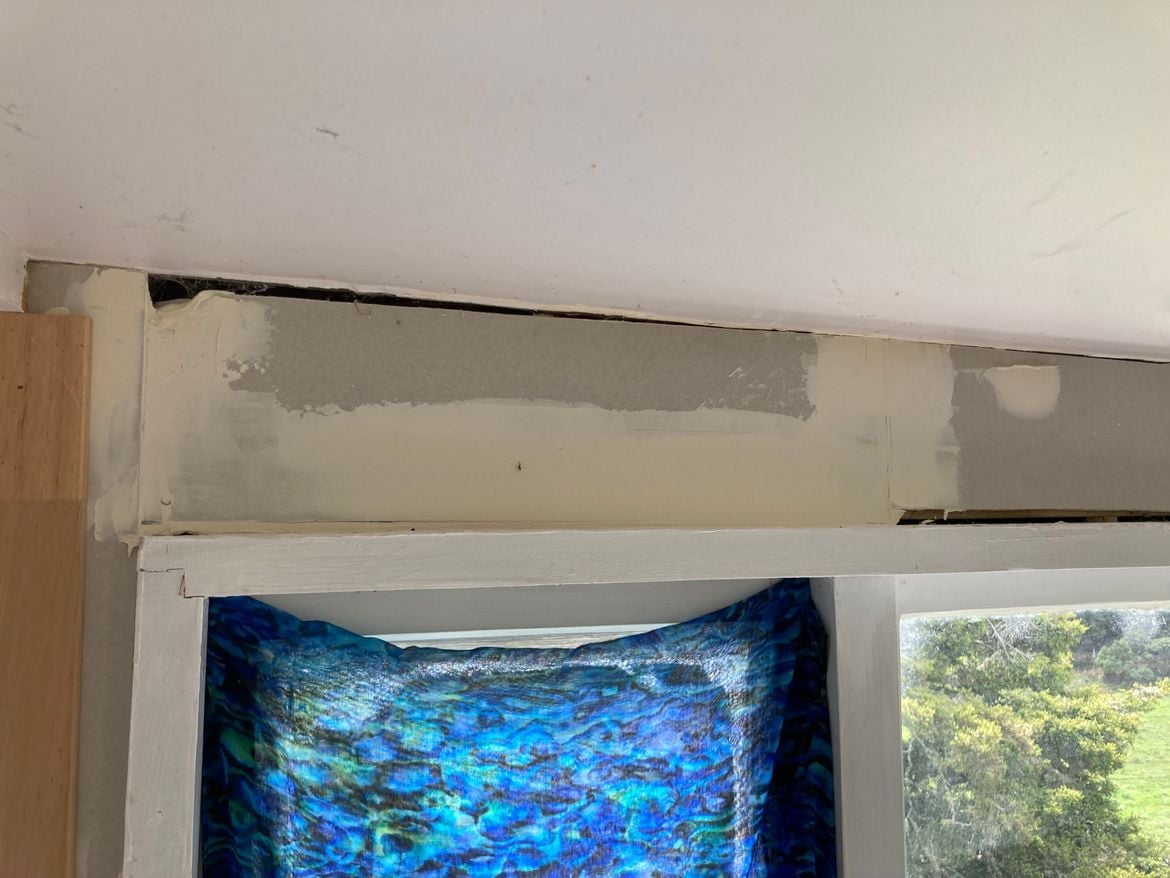 IMG_2595.jpeg IMG_2595.jpeg