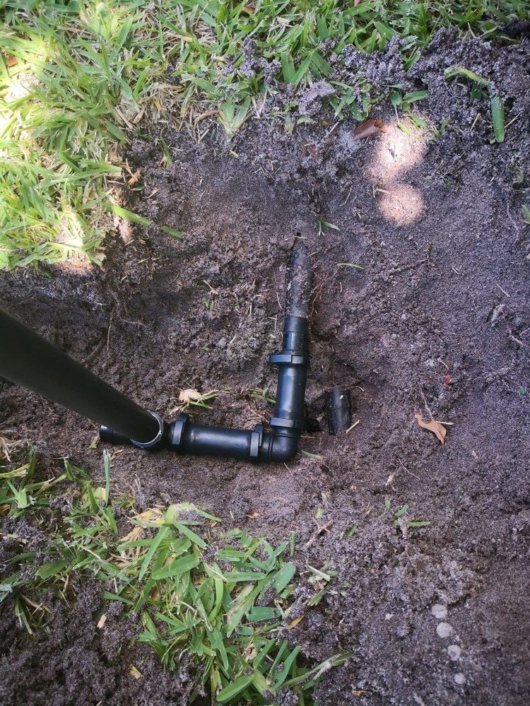 IMG_20190227_140110.jpg IMG_20190227_140110.jpg