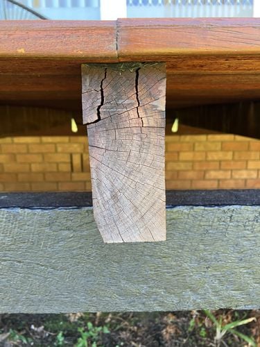 IMG_1641.jpeg IMG_1641.jpeg