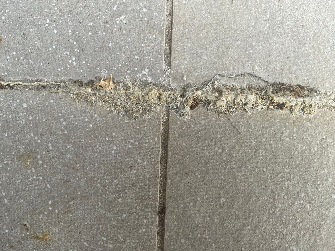 IMG_0068.jpeg IMG_0068.jpeg