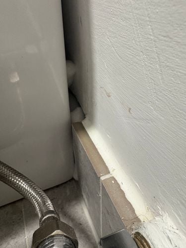 IMG_0291.jpeg IMG_0291.jpeg