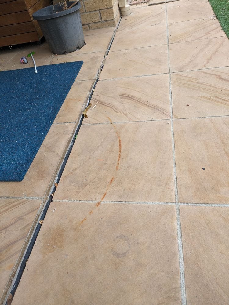 PXL_20240606_002617927.jpg PXL_20240606_002617927.jpg