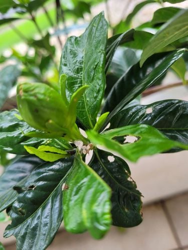 20241201_100230.jpg 20241201_100230.jpg