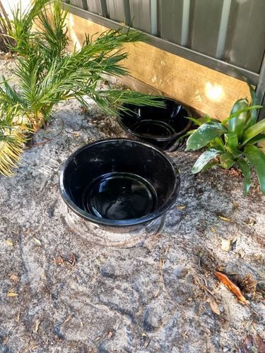 RobP_1-1721300826857.jpeg RobP_1-1721300826857.jpeg