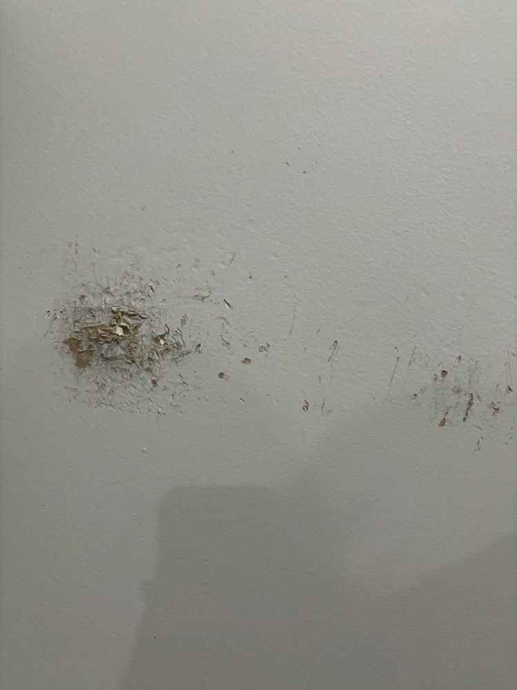 IMG_7404.jpg IMG_7404.jpg