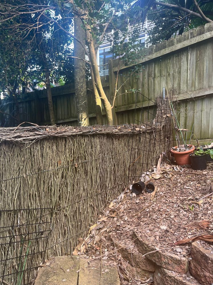 Bunnings(1).jpg Bunnings(1).jpg