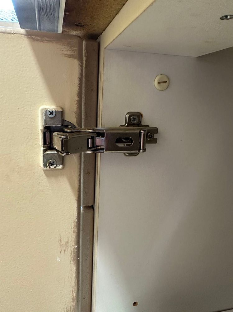 IMG_7044.jpeg IMG_7044.jpeg