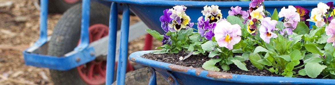 Wheelbarrow.jpg Wheelbarrow.jpg