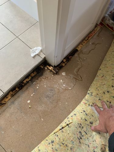 937EDE95-CD66-40BD-B3EA-3AA7F439C162.jpeg 937EDE95-CD66-40BD-B3EA-3AA7F439C162.jpeg