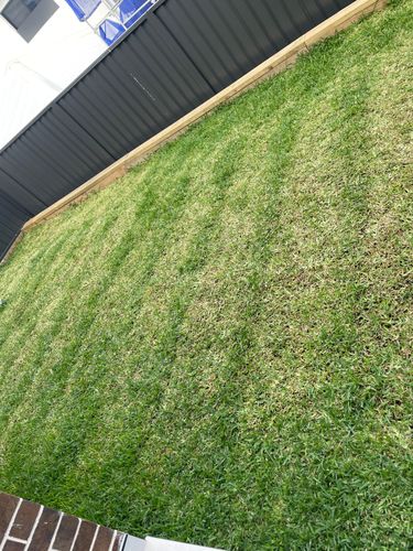 IMG_1091.jpeg IMG_1091.jpeg